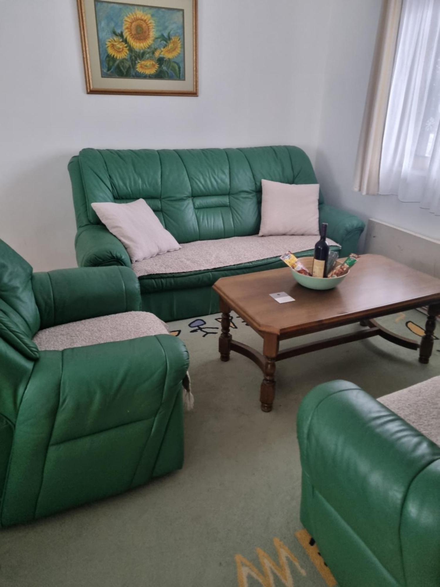 Kraljevi Konaci Olja Apartment Zlatibor Luaran gambar